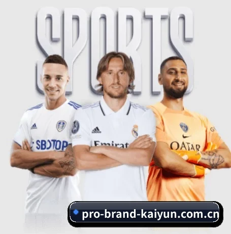 我们在做什么(kaiyun)