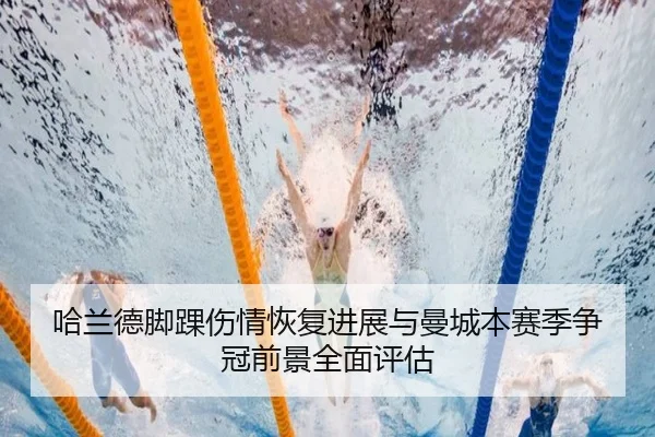 img_1779990321247_495_0_739.jpg（kaiyun）
